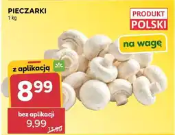 Stokrotka Market Pieczarki oferta