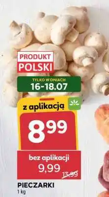 Stokrotka Market Pieczarki oferta