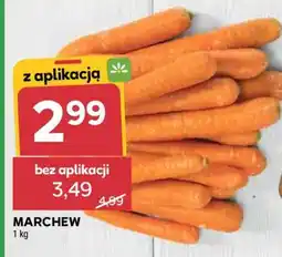 Stokrotka Market Marchew oferta