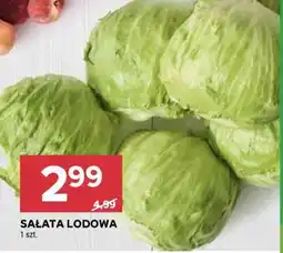 Stokrotka Market Sałata lodowa oferta