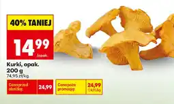 Biedronka Kurki oferta