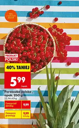Biedronka Porzeczka polska oferta