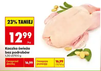 Biedronka Kaczka świeża bez podrobów oferta