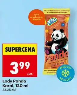 Biedronka Lody Pando Koral oferta