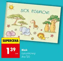 Biedronka Blok rysunkowy oferta