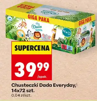 Biedronka Chusteczki Dada Everyday oferta
