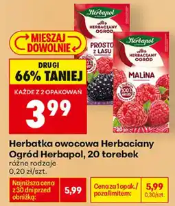 Biedronka Herbatka owocowa Herbacyjny Ogród Herbapol oferta