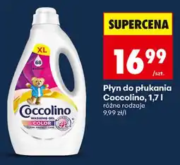Biedronka Płyn do płukania Coccolino oferta