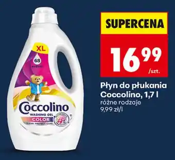 Biedronka Płyn do płukania Coccolino oferta