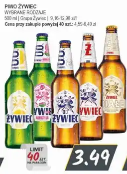 Słoneczko Piwo Żywiec oferta