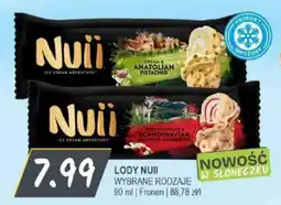 Słoneczko Lody Nuji oferta