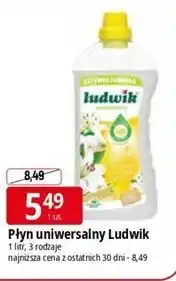 E.Leclerc Płyn uniwersalny Ludwik oferta