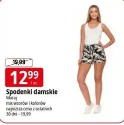 E.Leclerc Spodenki damskie Moraj oferta