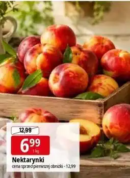 E.Leclerc Nektarynki oferta