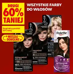 Biedronka Wszystkie farby do włosów Syoss, Palette oferta