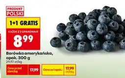 Biedronka Borówka amerykańska, opak oferta