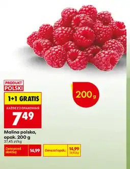 Biedronka Malina polska, opak oferta