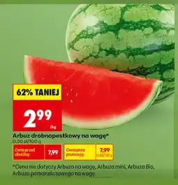 Biedronka Arbuz drobnopestkowy na wagę oferta