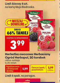 Biedronka Herbatka owocowa Herbaciany Ogród Herbapol oferta