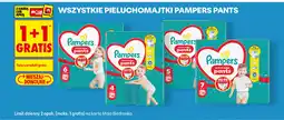 Biedronka Wszystkie pieluchomajtki Pampers Pants oferta