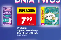 Biedronka Wkładki higieniczne Discreet oferta
