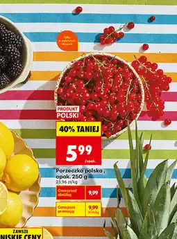 Biedronka Porzeczka oferta