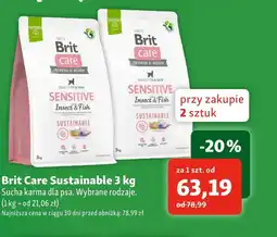 Maxi Zoo Karma dla psa Brit Care oferta