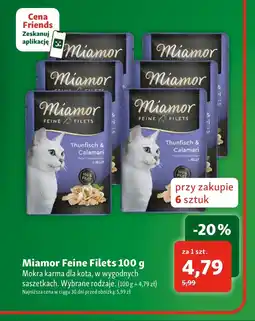 Maxi Zoo Mokra karma dla kota Miamor oferta