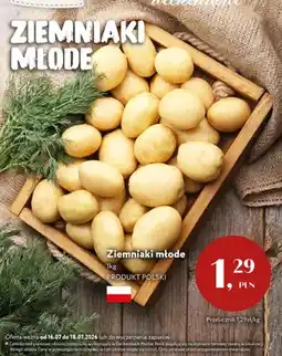 Market Point Ziemniaki młode polskie oferta