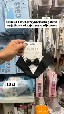 Pepco Muszka z kołnierzykiem dla psa For Pets oferta