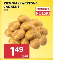 Stokrotka Market Ziemniaki Polski oferta