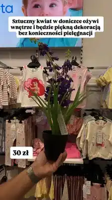 Pepco Sztuczny kwiat w doniczce oferta