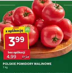Stokrotka Express Pomidory oferta