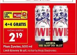 Biedronka Piwo Żywiec oferta
