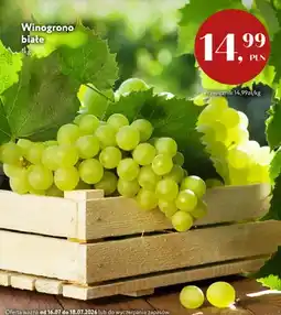 Market Point Winogrono białe oferta