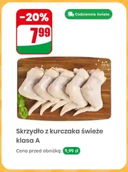 Dino Skrzydło z kurczaka świeże klasa A oferta