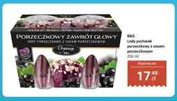 Dino Lody pucharek porzeczkowy z sosem porzeczkowym B&G Organza oferta