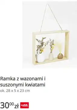 KiK Ramka z wazonami i suszonymi kwiatami oferta