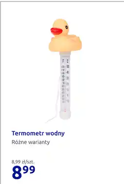 Action Termometr wodny oferta