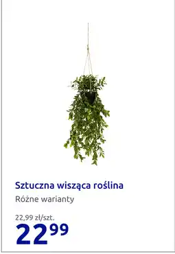 Action Sztuczna wisząca roślina oferta