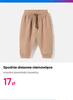 Pepco Spodnie dresowe niemowlęce Pepco oferta
