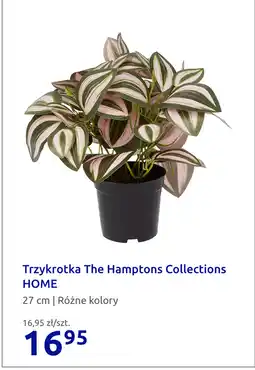 Action Trzykrotka The Hamptons Collections HOME oferta