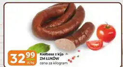 Gama Kiełbasa ZM Łuków oferta