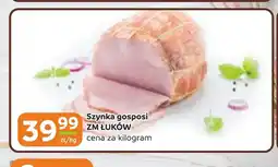 Gama Szynka ZM Łuków oferta