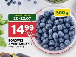 Stokrotka Borówki amerykańskie oferta