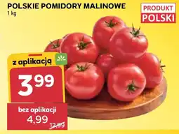 Stokrotka Pomidory oferta