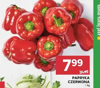 Stokrotka Papryka oferta