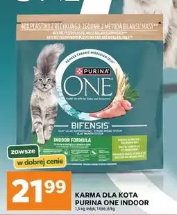 Stokrotka Karma dla kota Purina ONE Bifensis Indoor indyk oferta