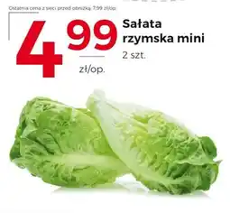 Frac Sałata rzymska mini oferta