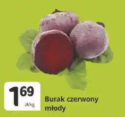 Marketvita Burak czerwony młody oferta